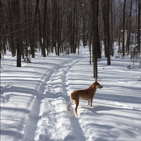 Meet your Posher, Sara Tremblay - Picture 2 of 2